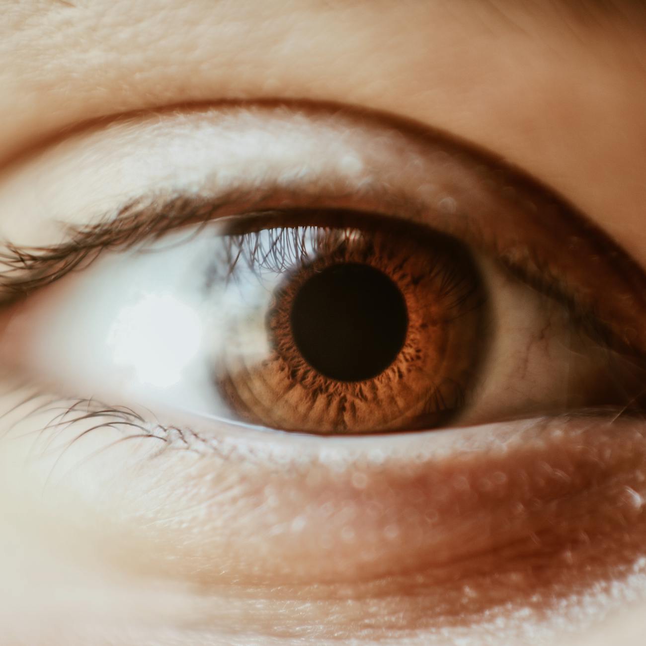 Visual Assessment and Intervention