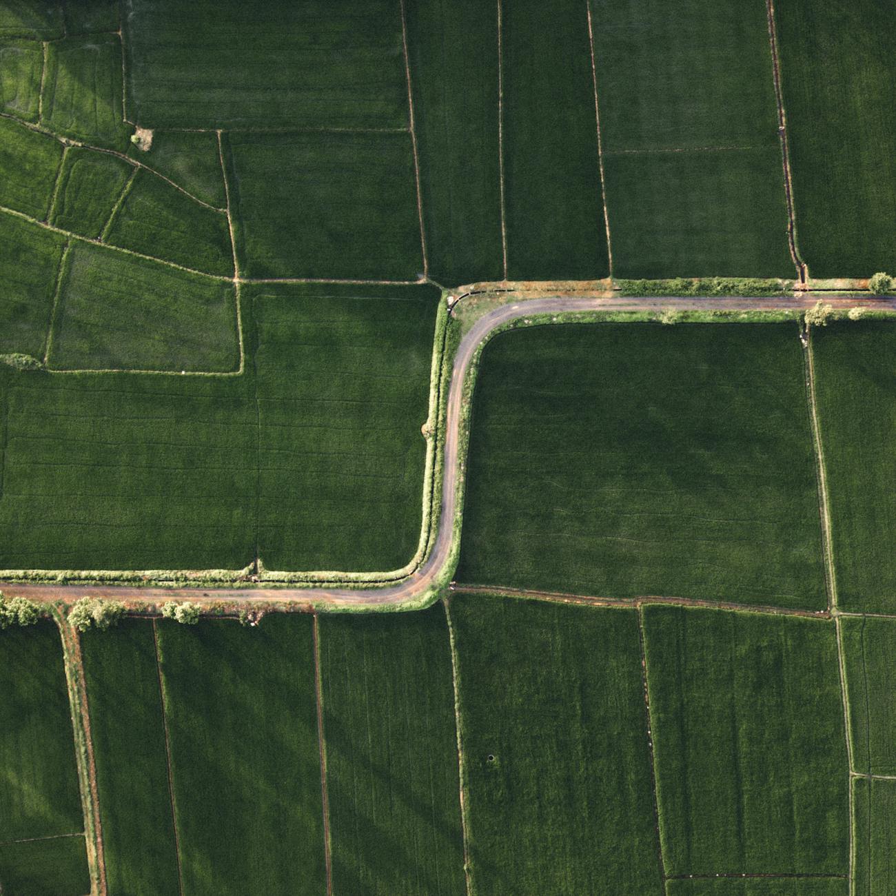 Genetic Algorithms and Optimization for Agricultural Decision Making