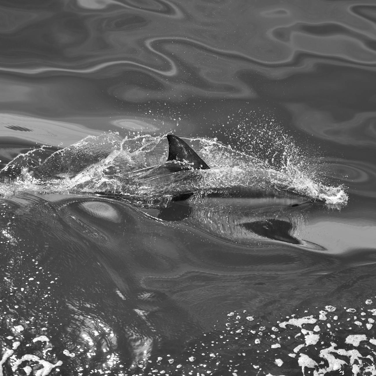 Sonar Systems Design