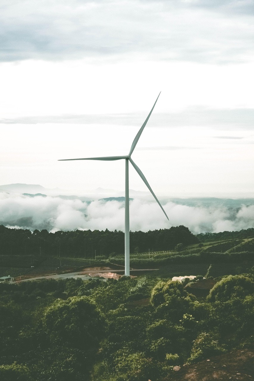 Sustainability and Environmental Impact  