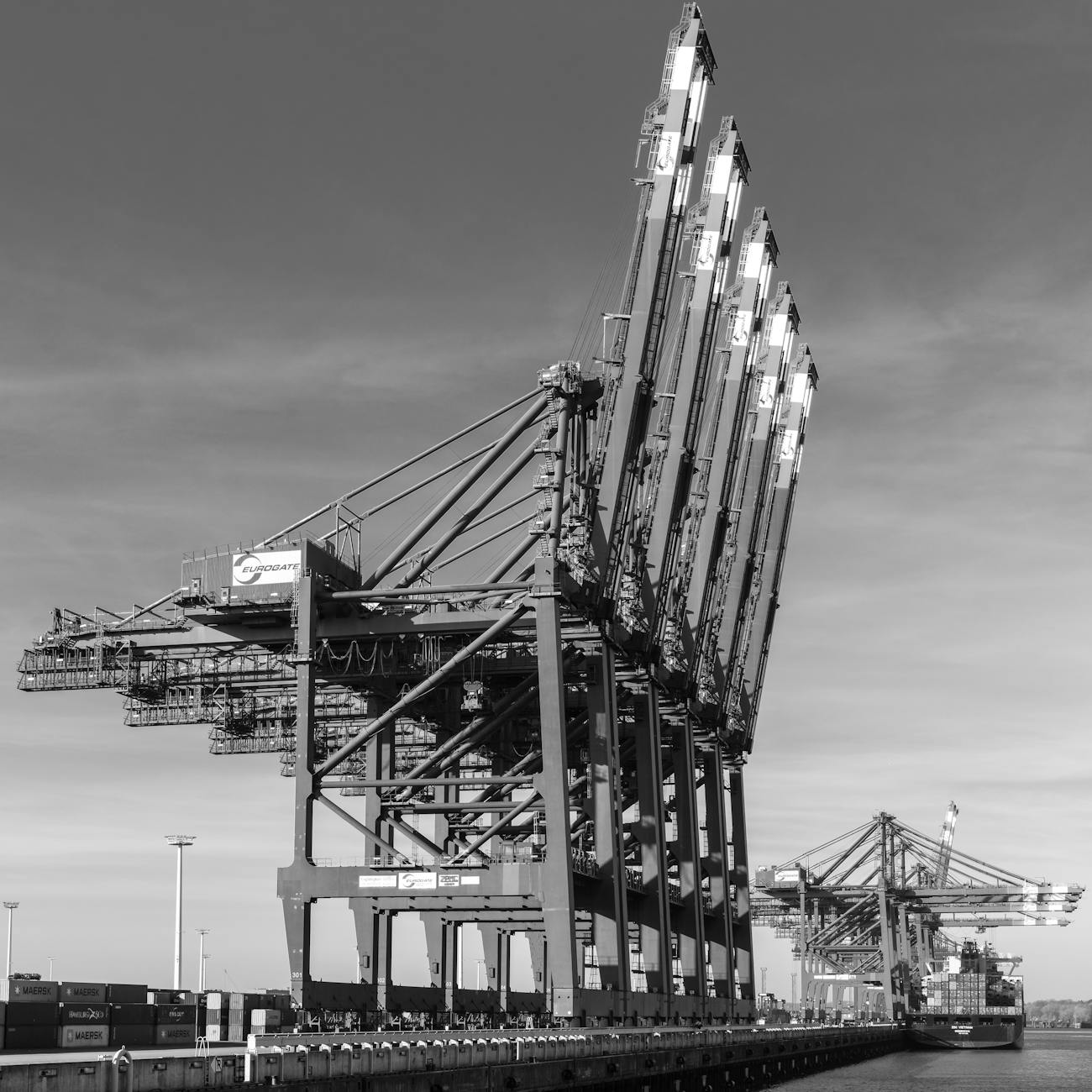 Port Infrastructure and Equipment