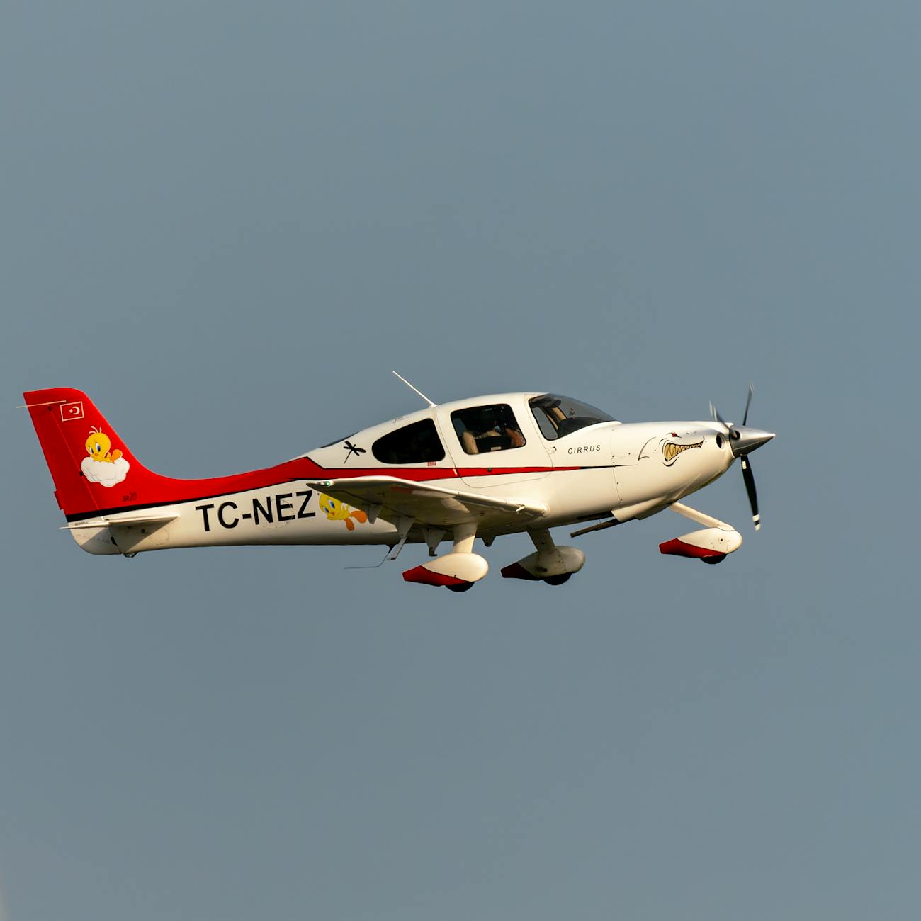 Cabin Crew Training and Supervision