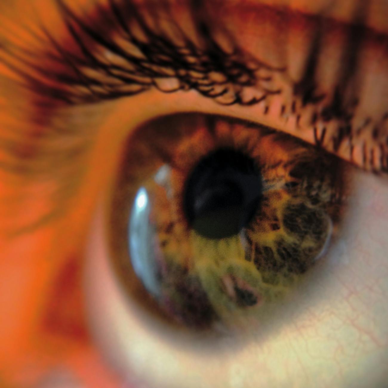 Eye Tracking Applications in Learning and Instruction