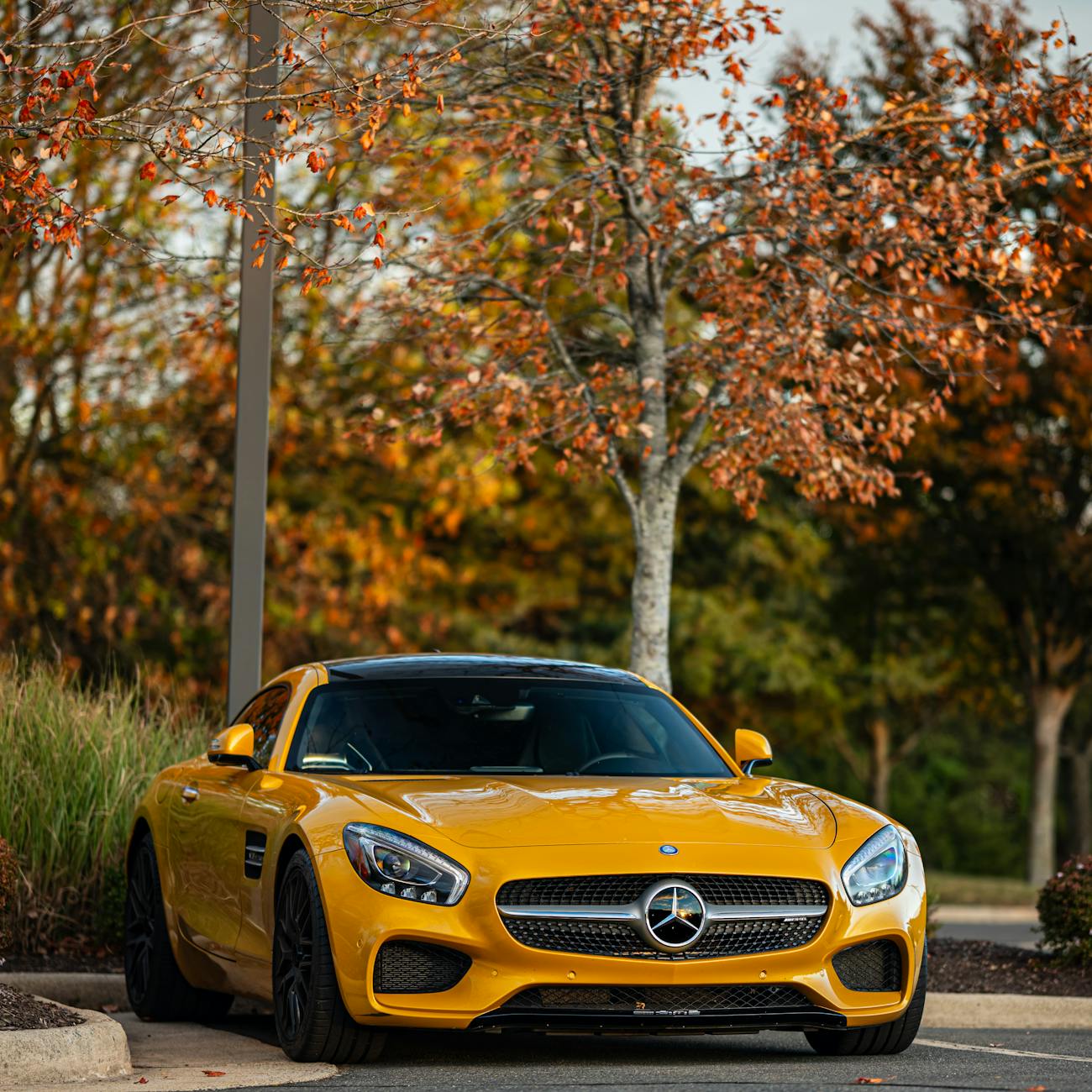 Automotive Product Knowledge
