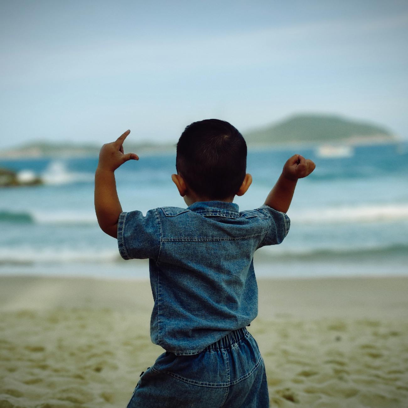 Promoting Independence and Function in Autism
