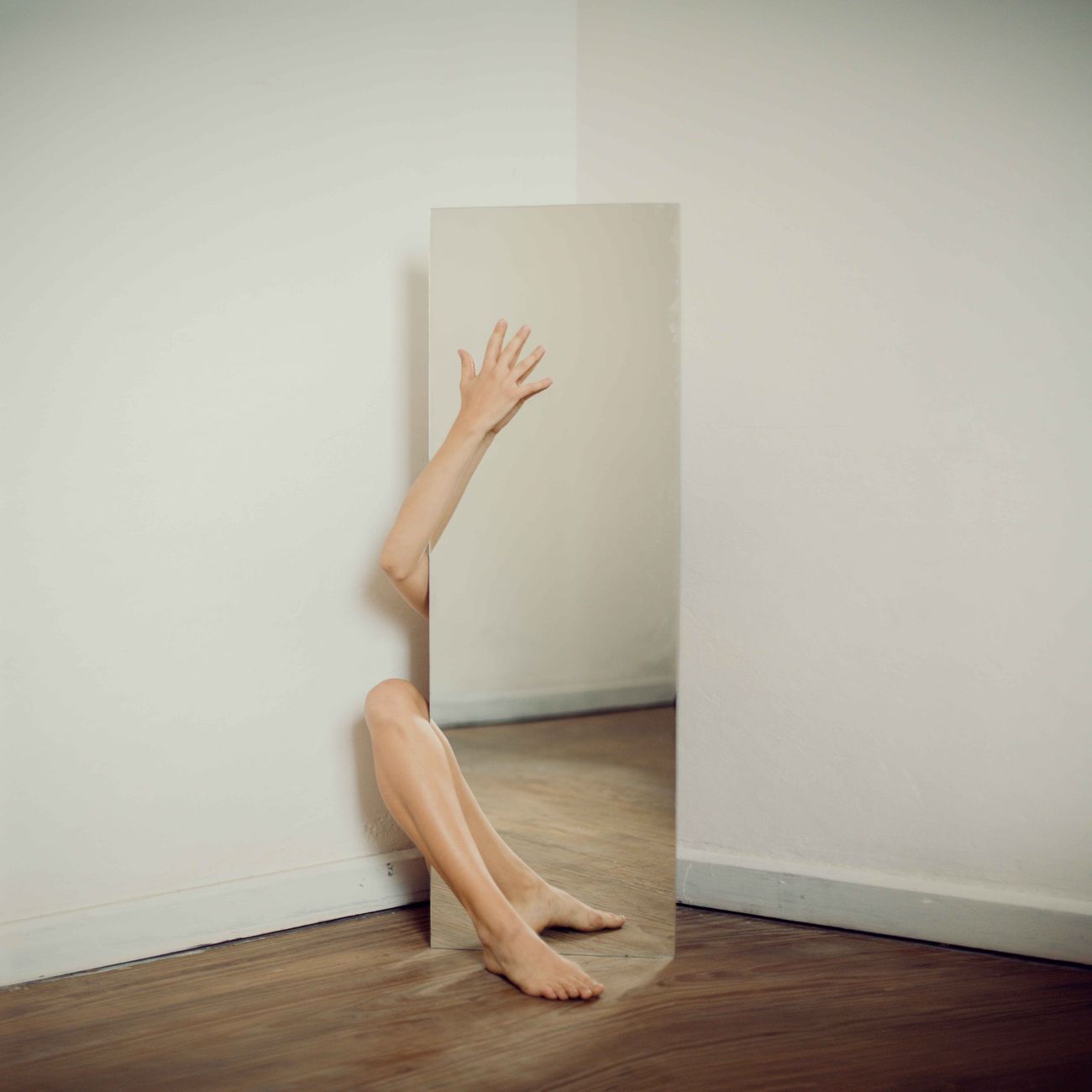 The Concept of the Self in IFS