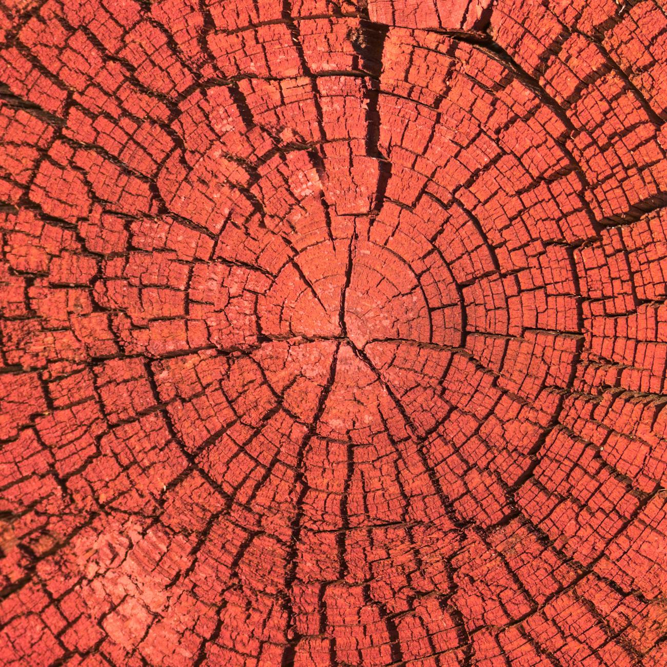 Root Cause Analysis