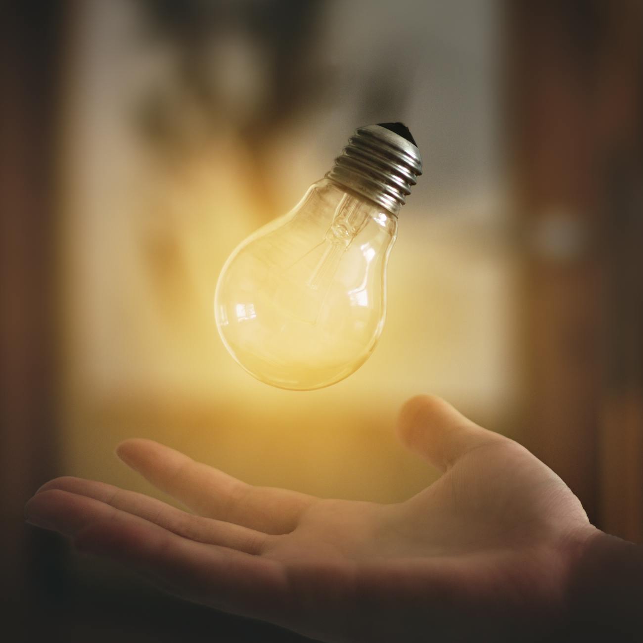 Entrepreneurial Mindset and Innovation