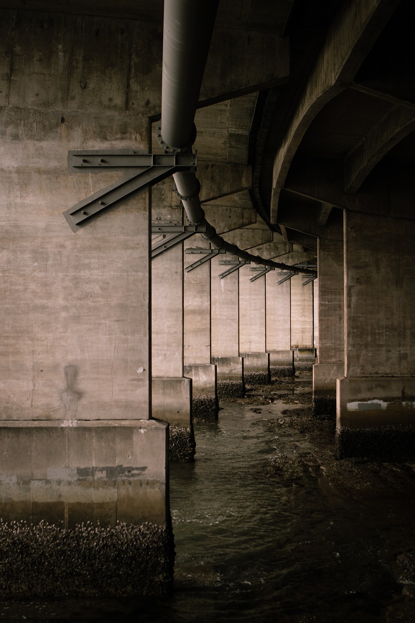 Forensic Investigation of Concrete Structures