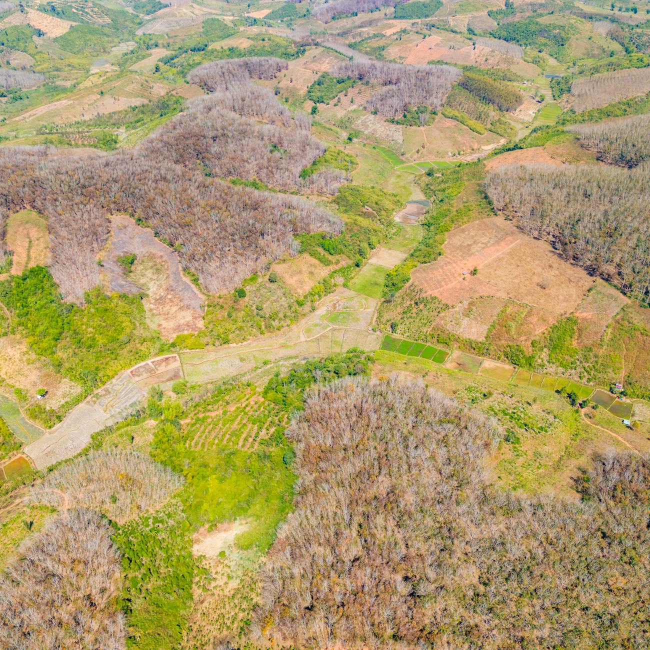 Environmental Regulations in Mining
