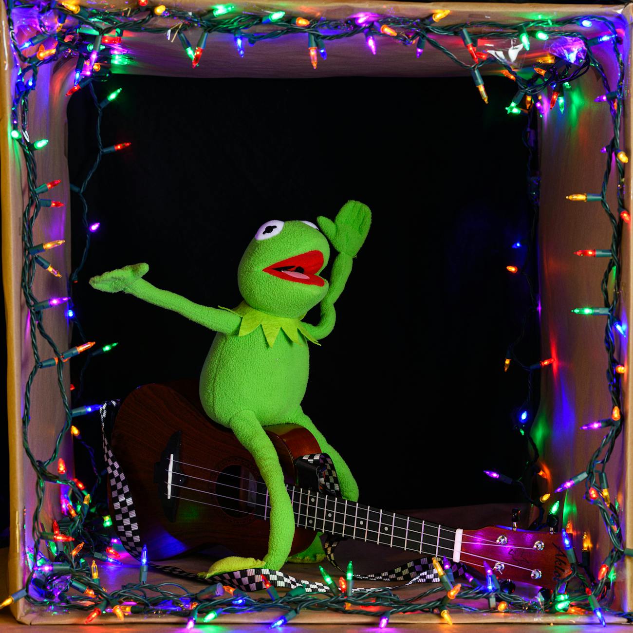Assessment and Evaluation in Special Needs Music Education
