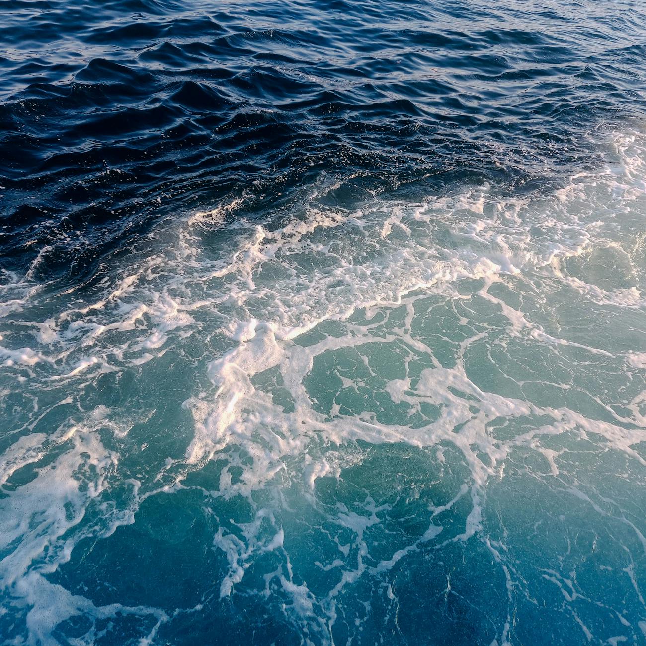 Nutrition and Wellness in Ocean Therapy