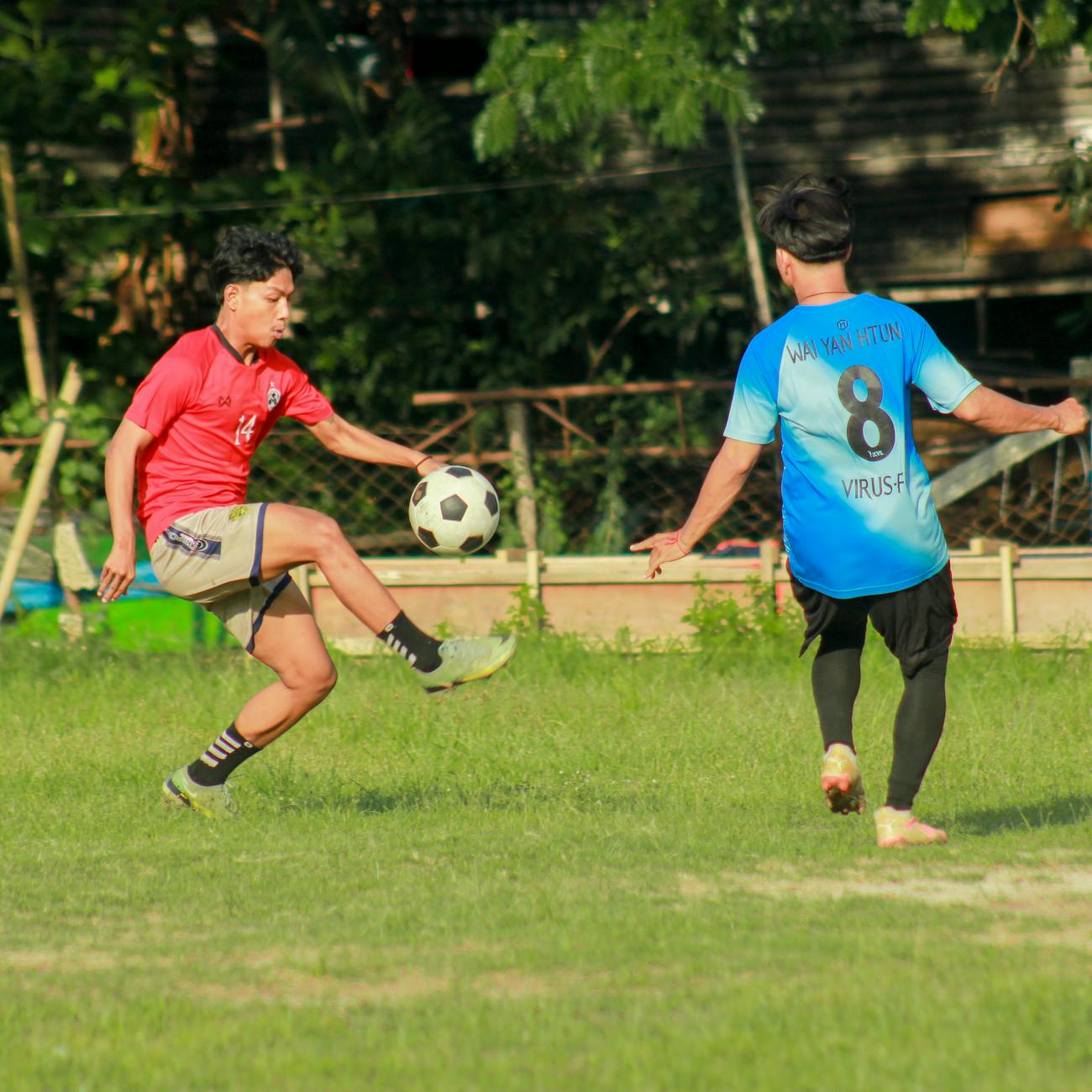 Physical Literacy and Skill Acquisition