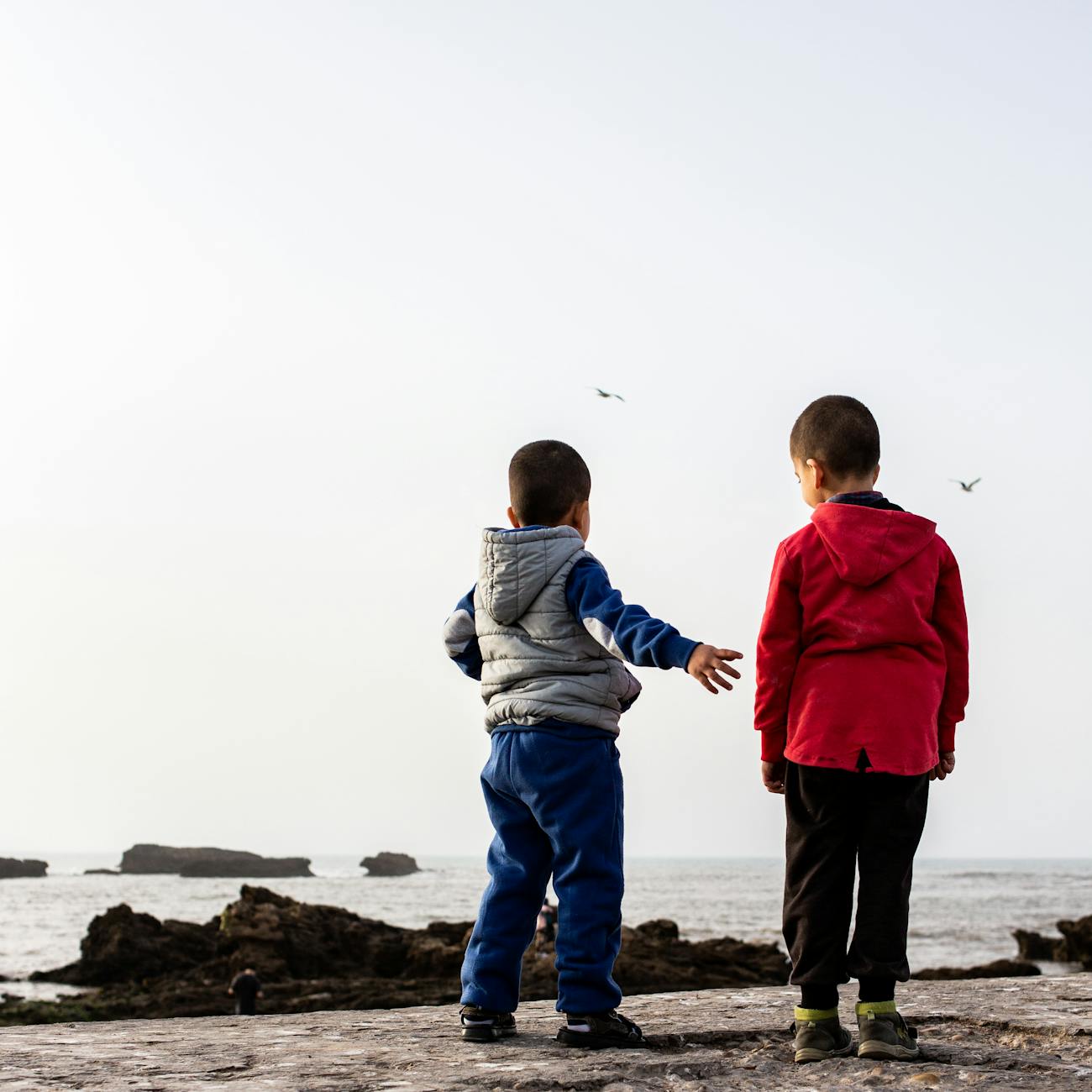 Ethical Standards in Humanitarian Action