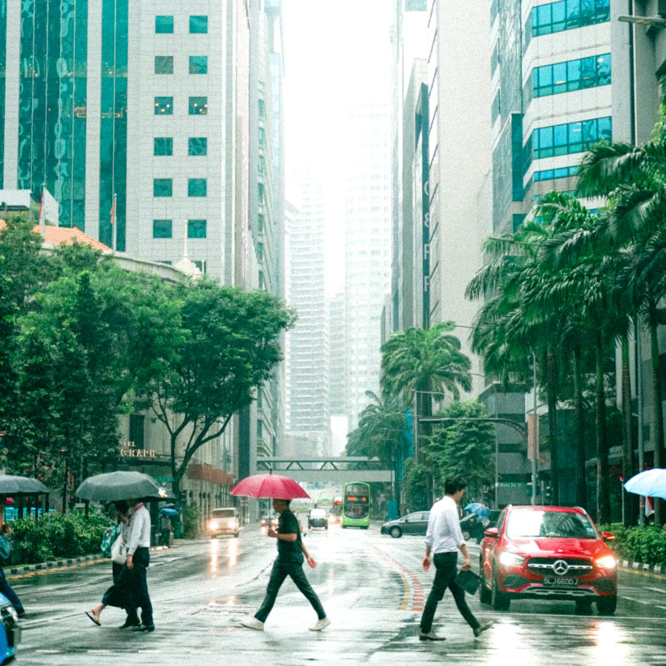 Public Expenditure Management