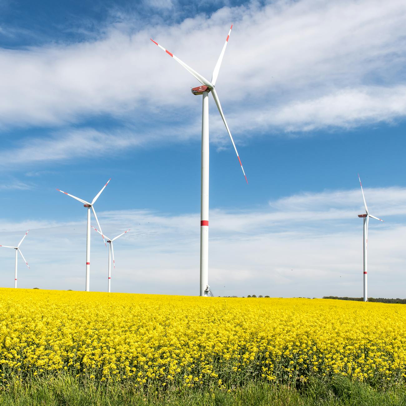 AI in Solar Energy Predictions