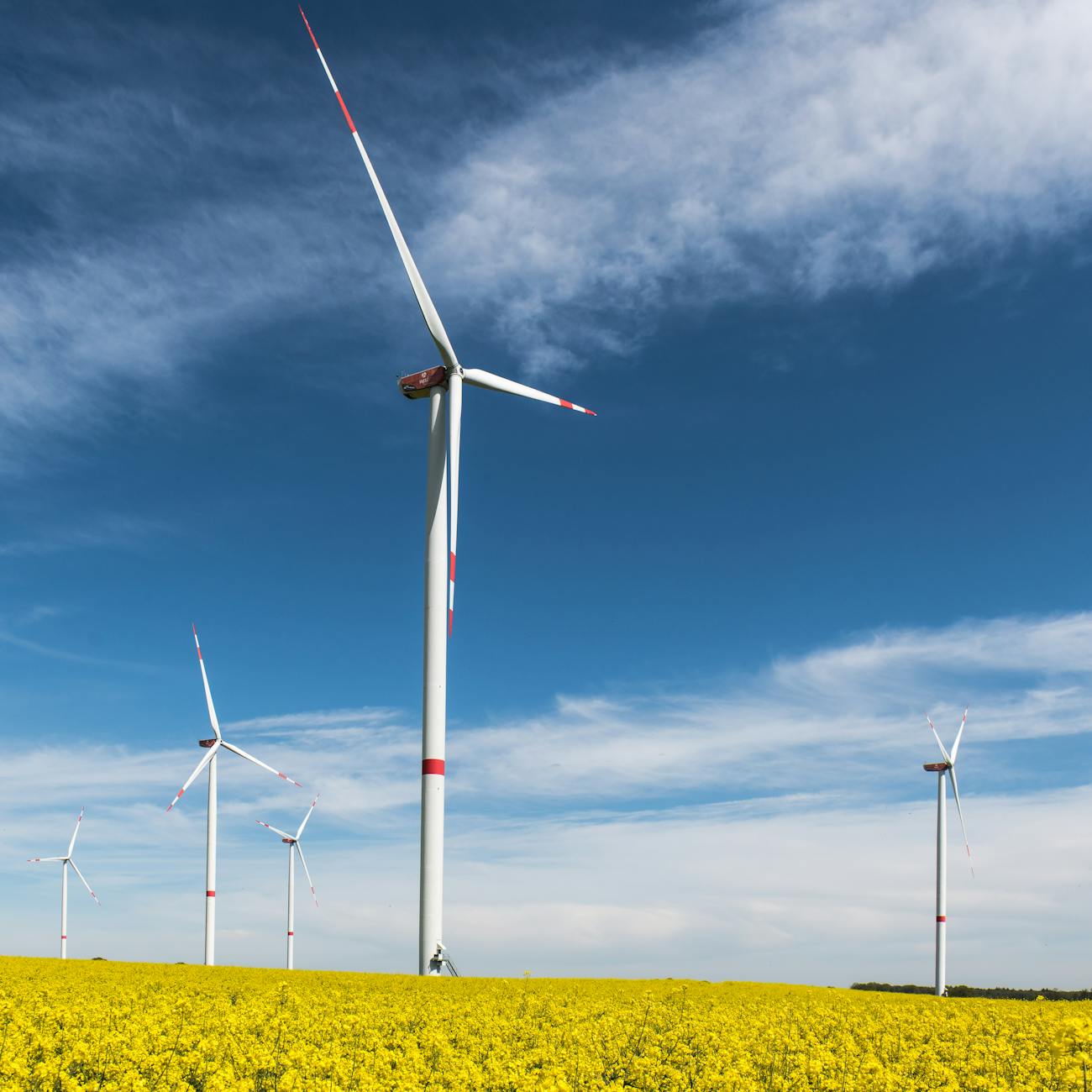 Renewable Energy Technology and Systems