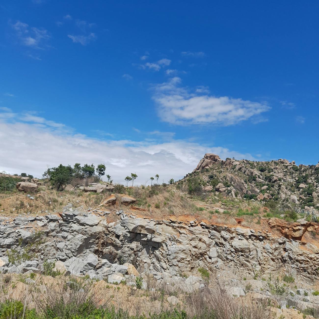 Site Analysis and Design