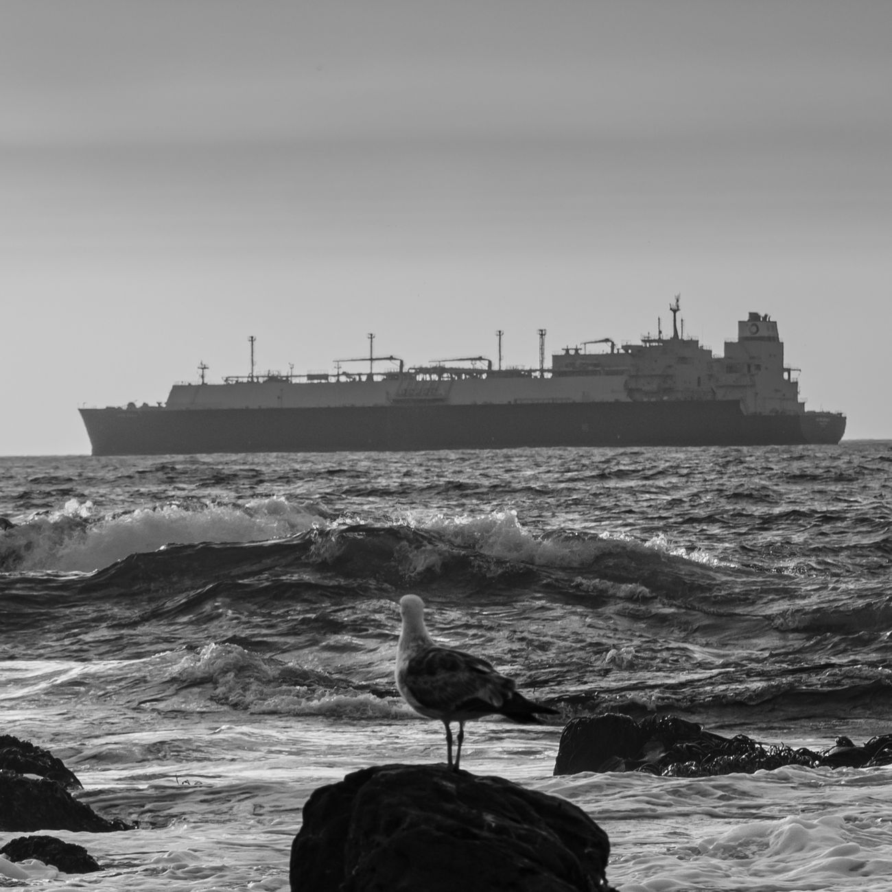 Environmental Management Systems for Cruise Ships
