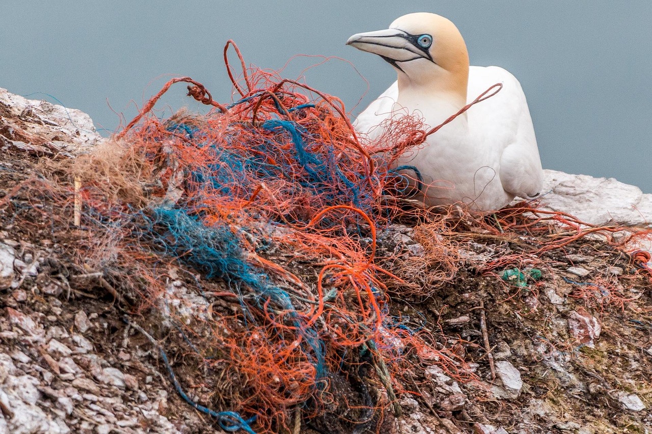 Marine Pollution Control and Prevention