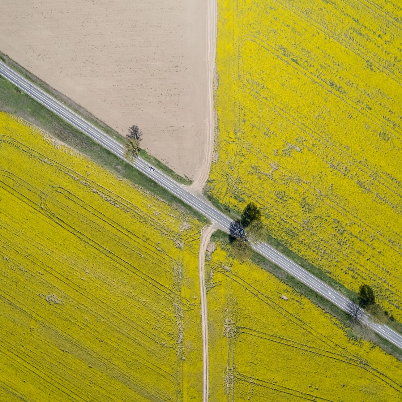 Estate Planning and Wills for Farm Succession