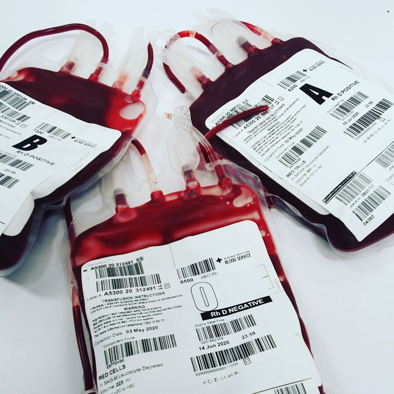Project Management for Cell Culture Projects