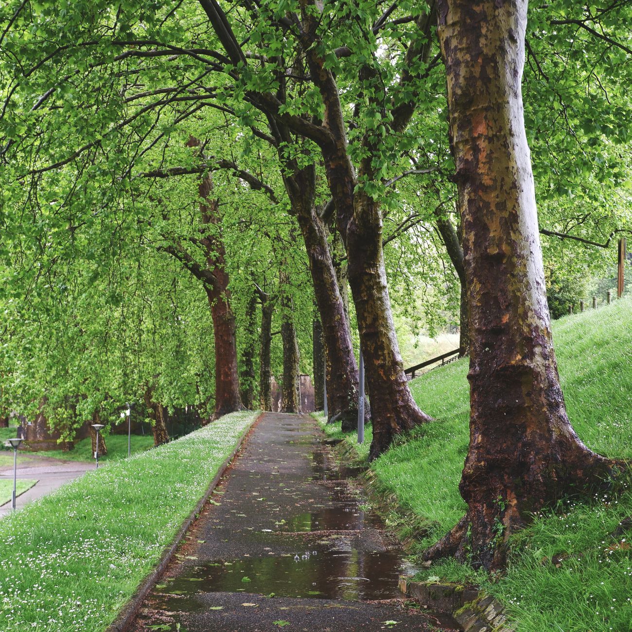Principles of Health and Social Care