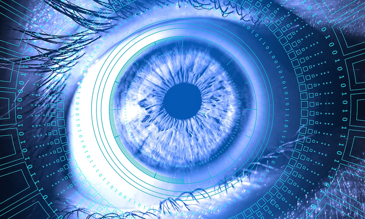 Cyber Deception And Countermeasure Strategies