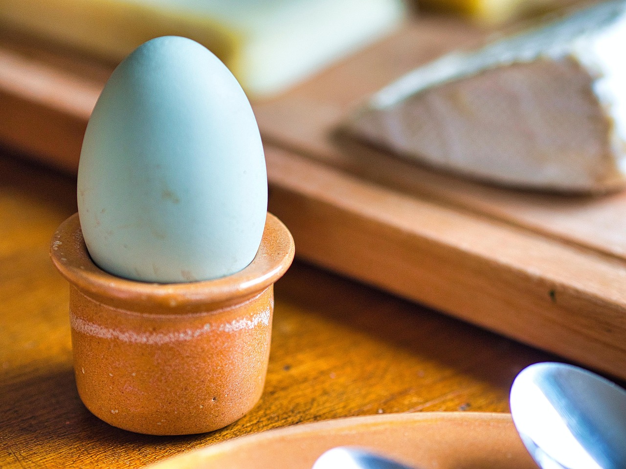 Digital Marketing for Dairy Products  