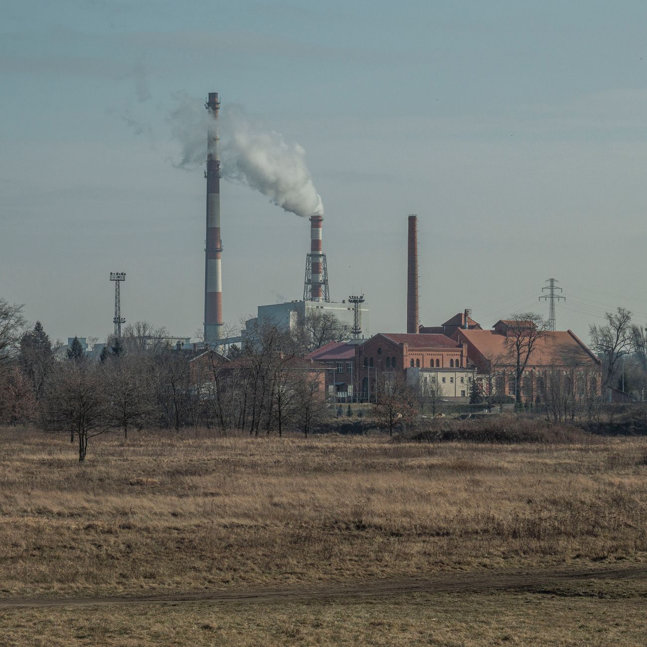 Carbon Credit Project Verification Report Writing