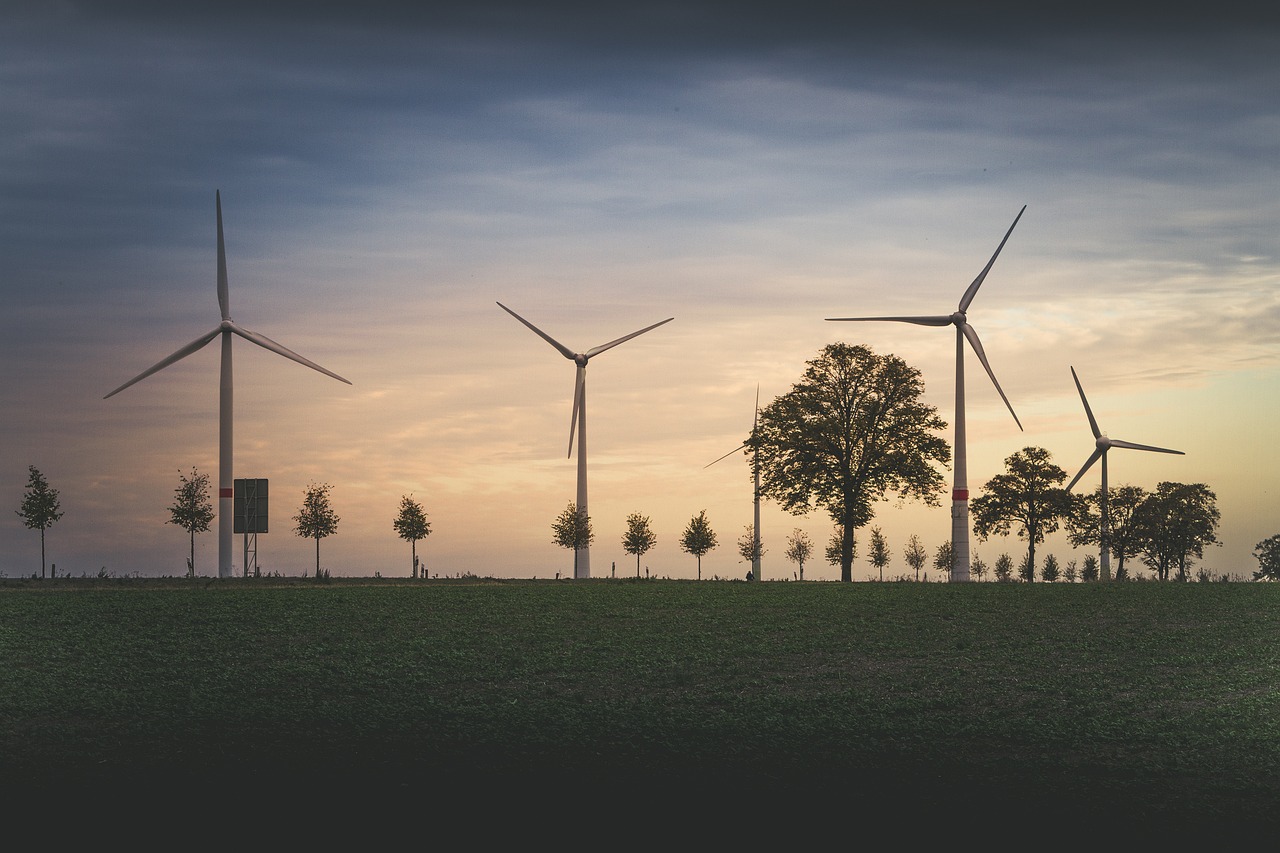 Environmental Economics in Transport