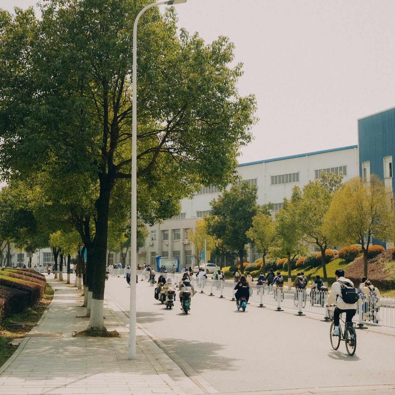 Public Health Engineering