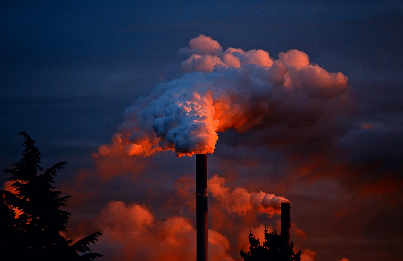 Environmental Regulations in the Cruise Industry  
