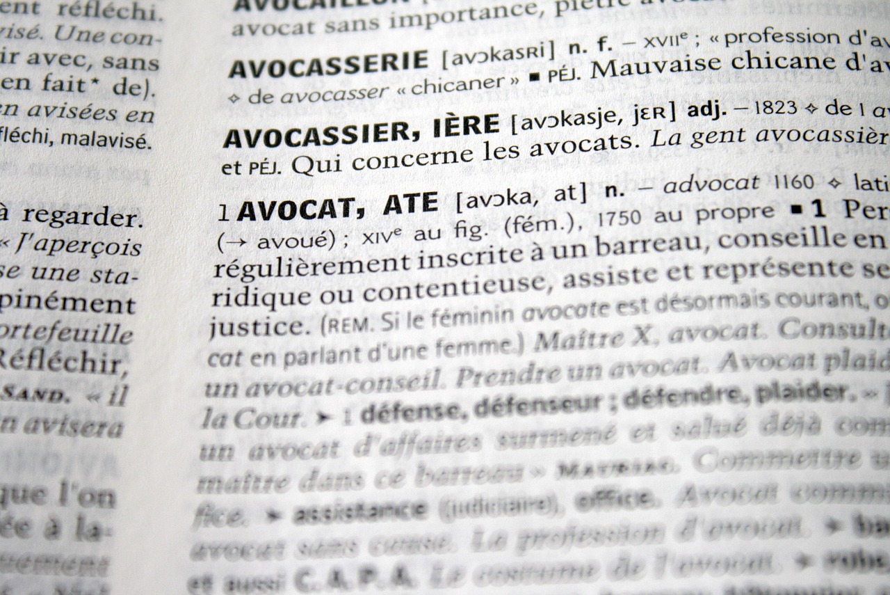 Legal Frameworks for Intellectual Property Rights Enforcement