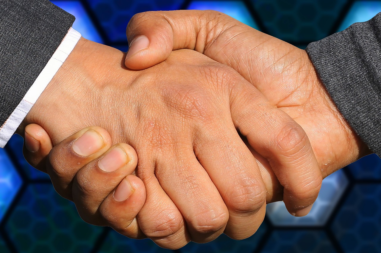 Negotiation Strategies