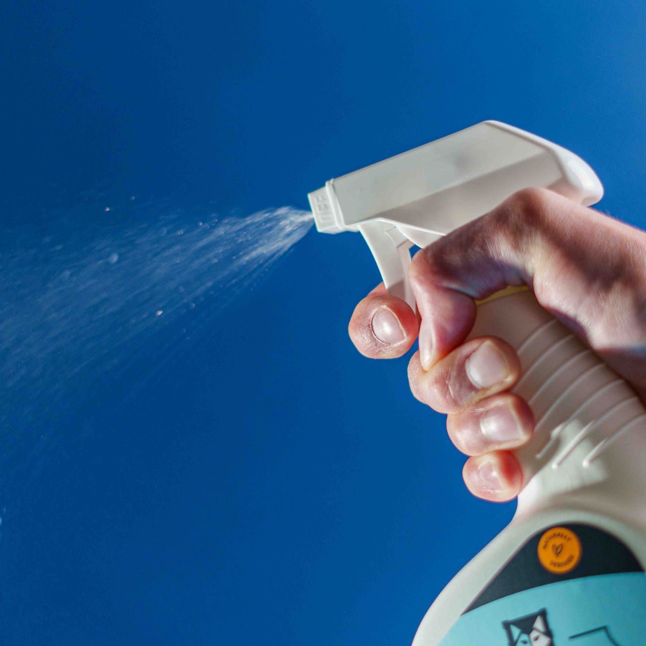 Sustainable Cleaning Practices