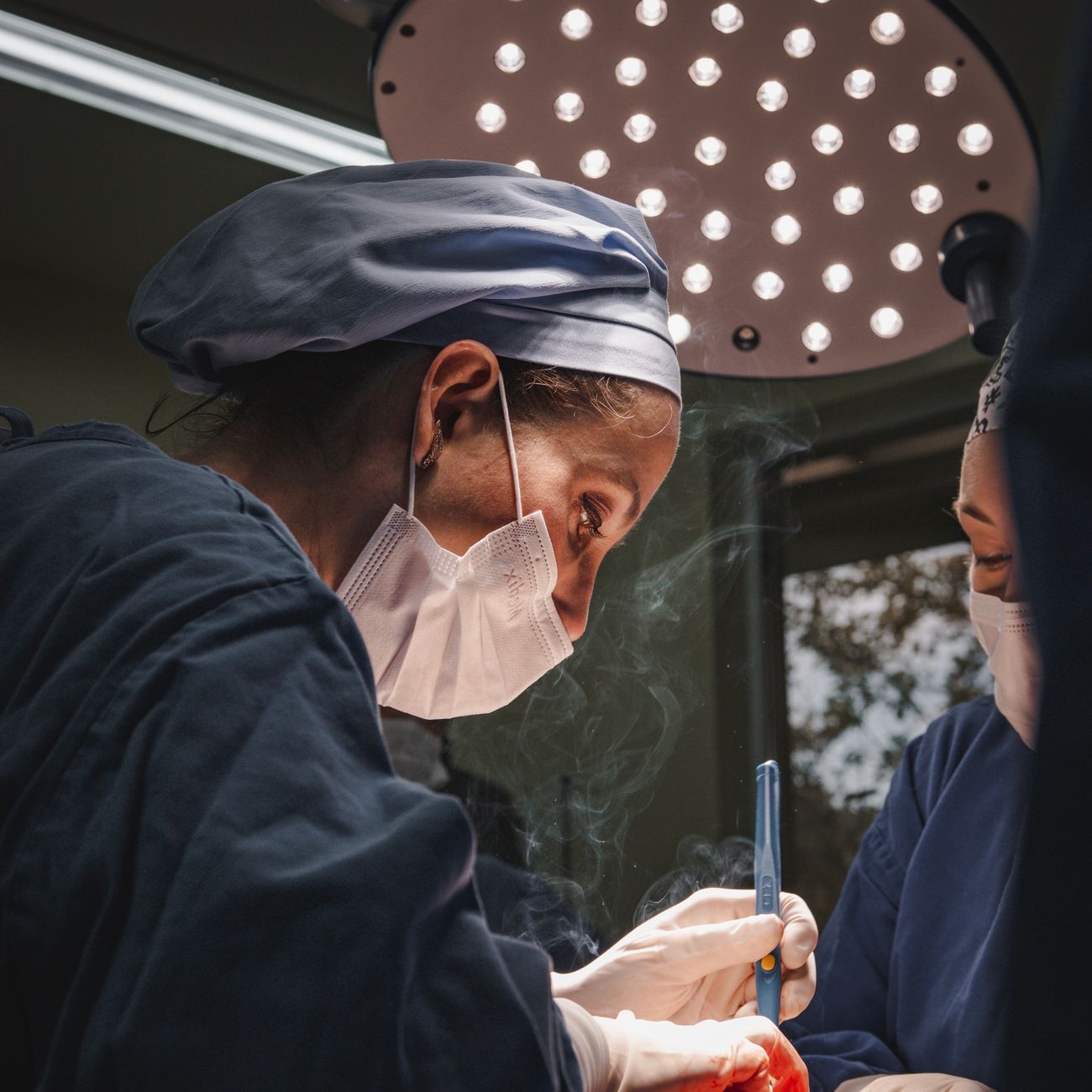 Healthcare Risk Management Principles