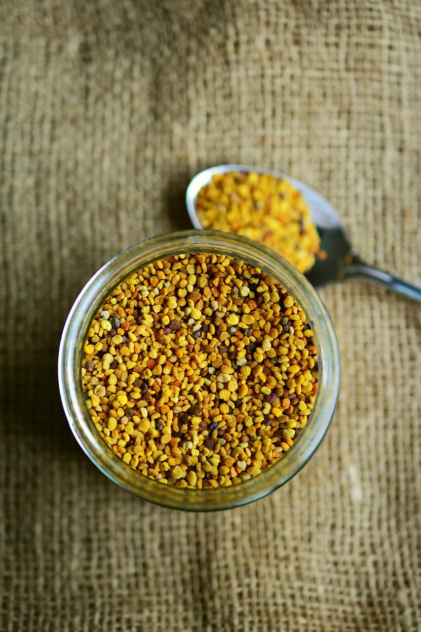 Supplements and Alternative Therapies in Autism Nutrition