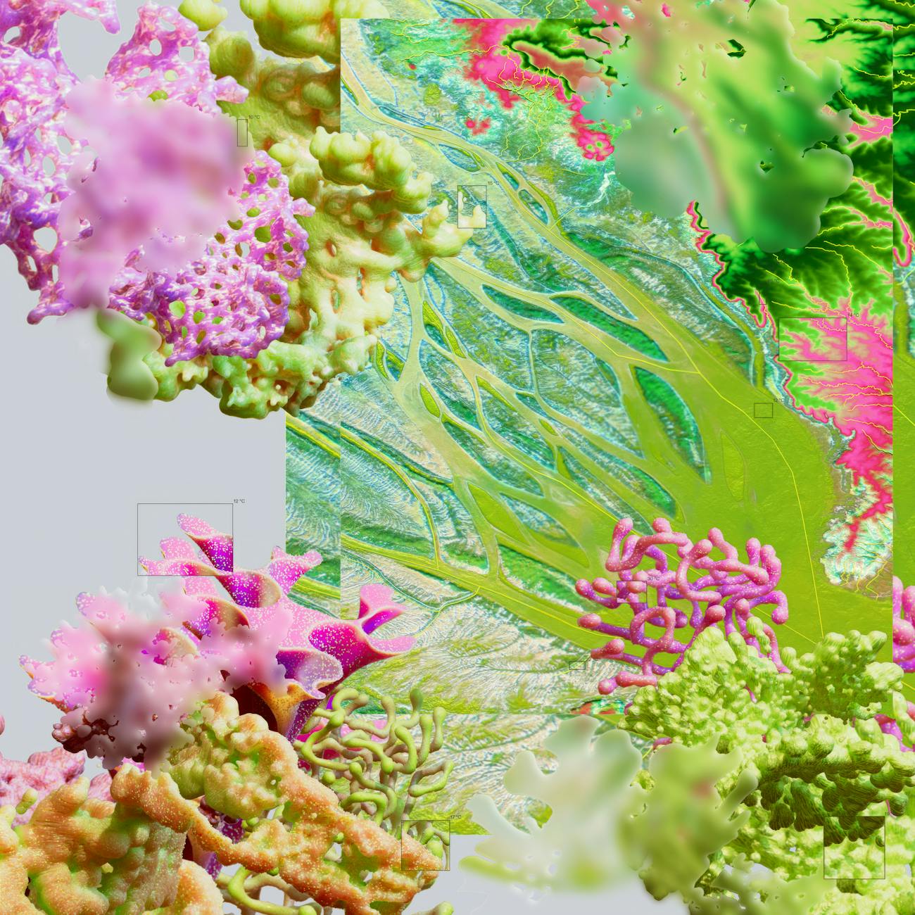 Biological Databases