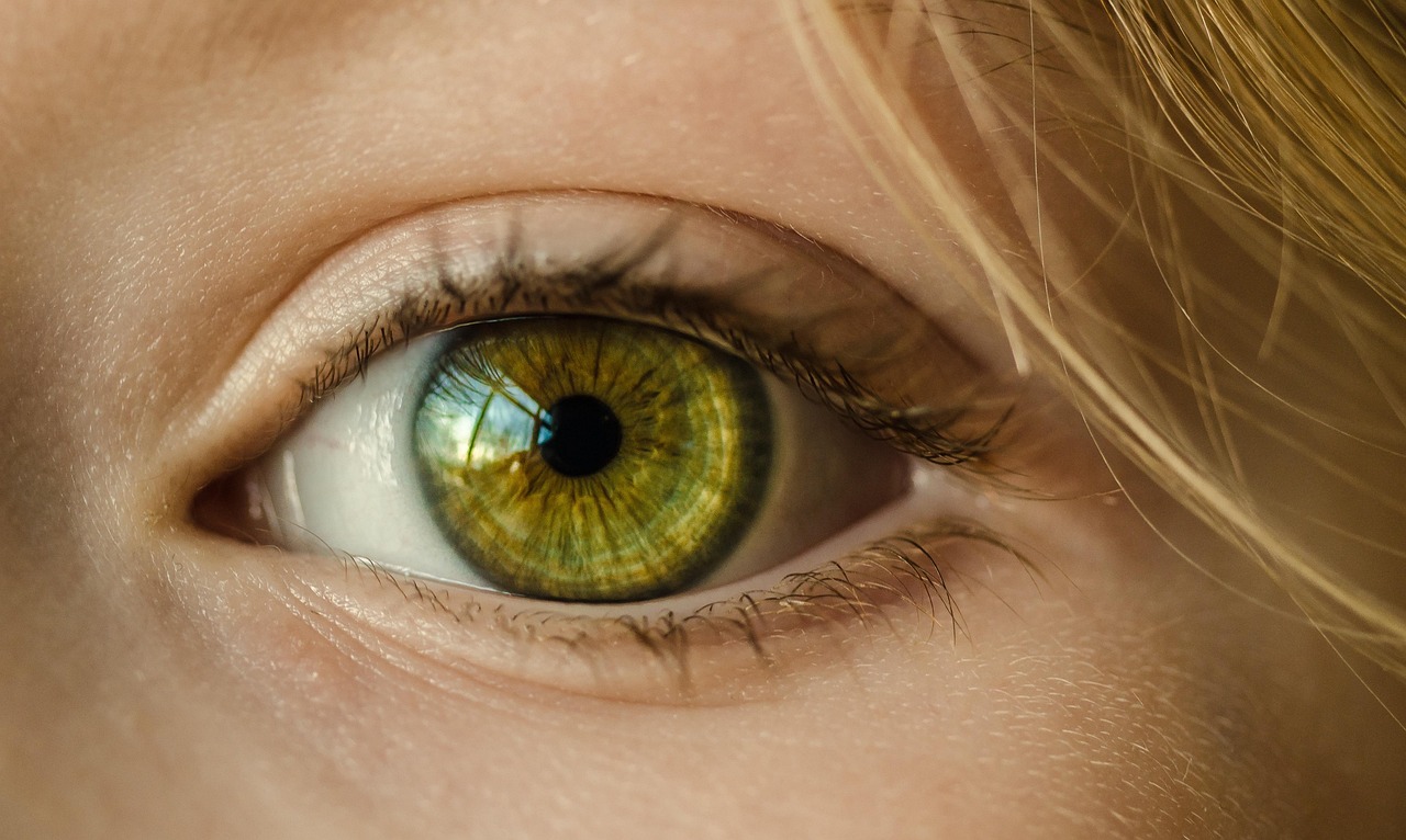 Computer Vision