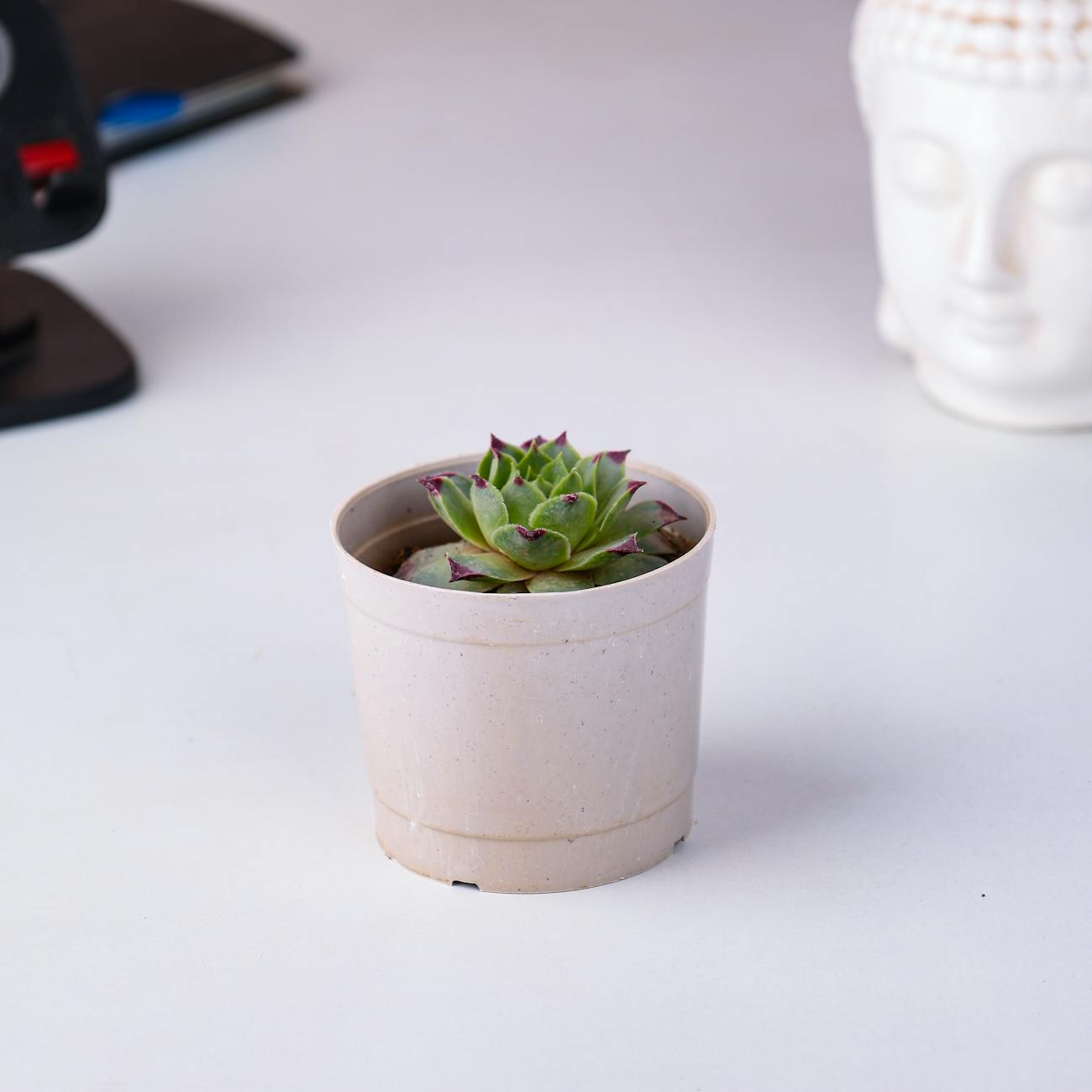 Research Methods in Horticultural Therapy.