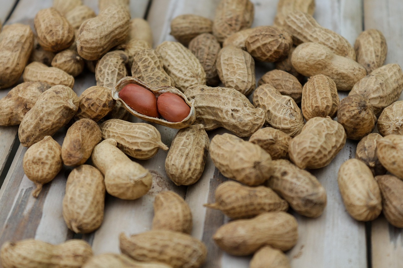 Nutrition and Cognitive Function