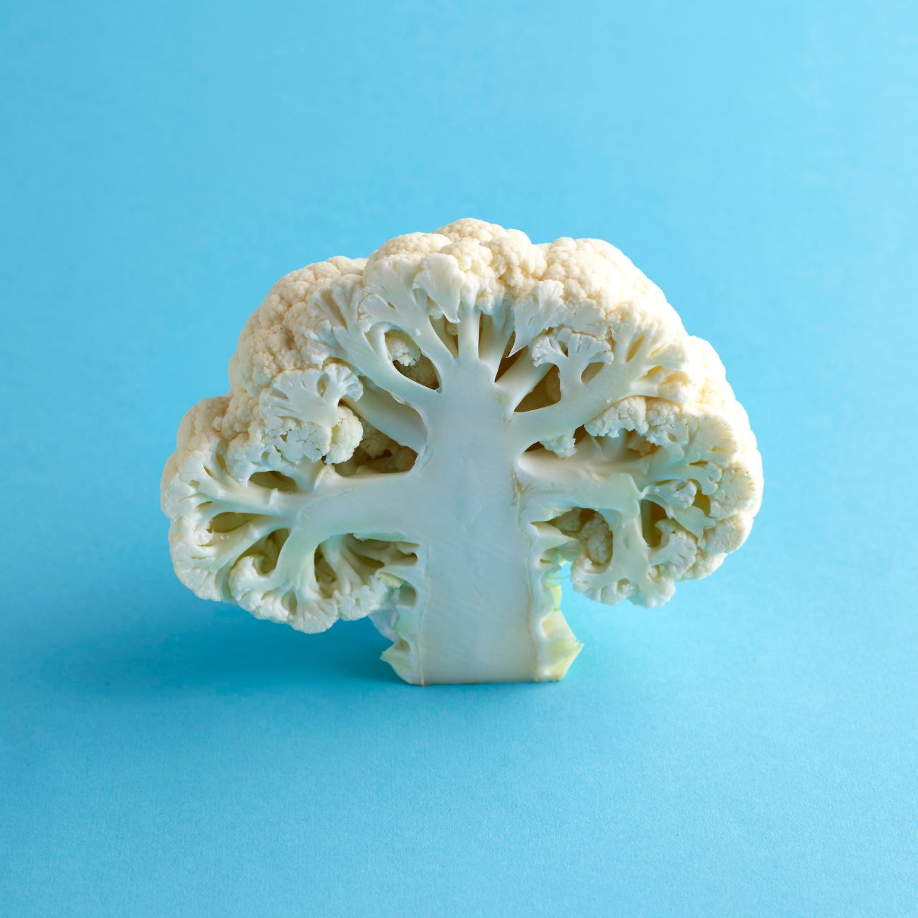 The Gut-Brain Connection