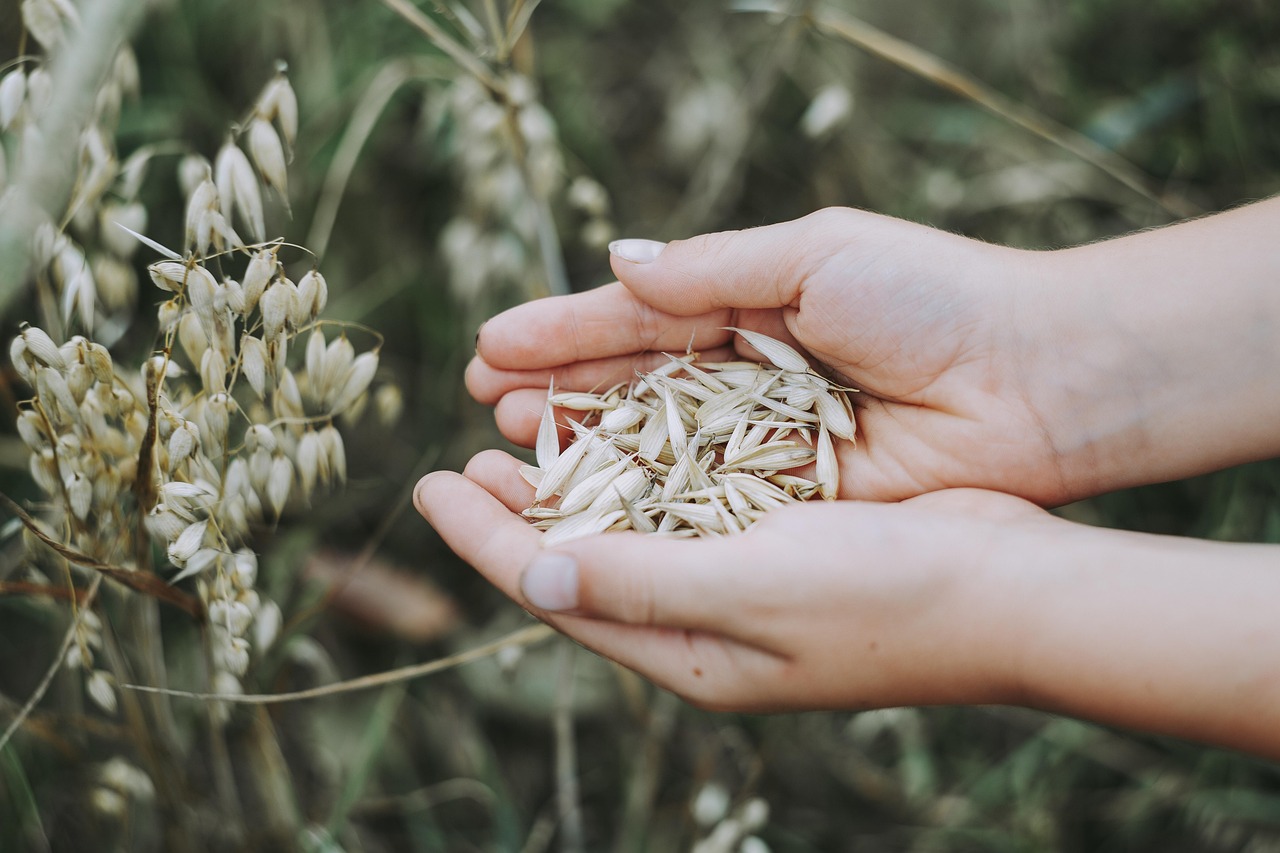 Neurological Disorders and Nutrition