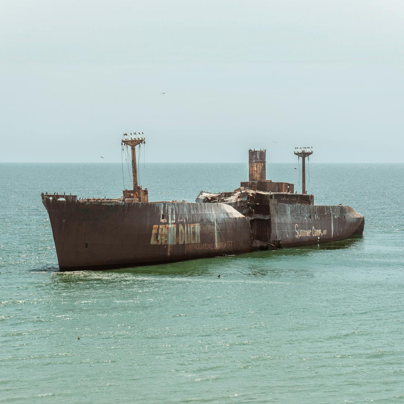 Marine Corrosion and Protection