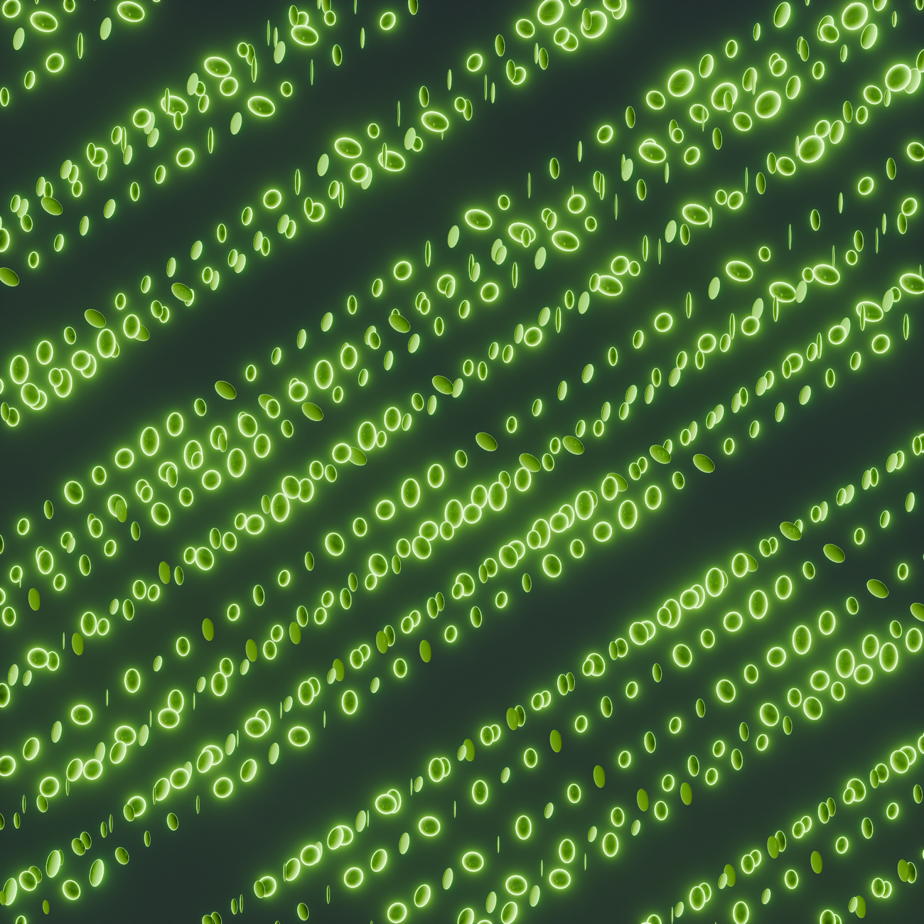 Data Processing and Visualization