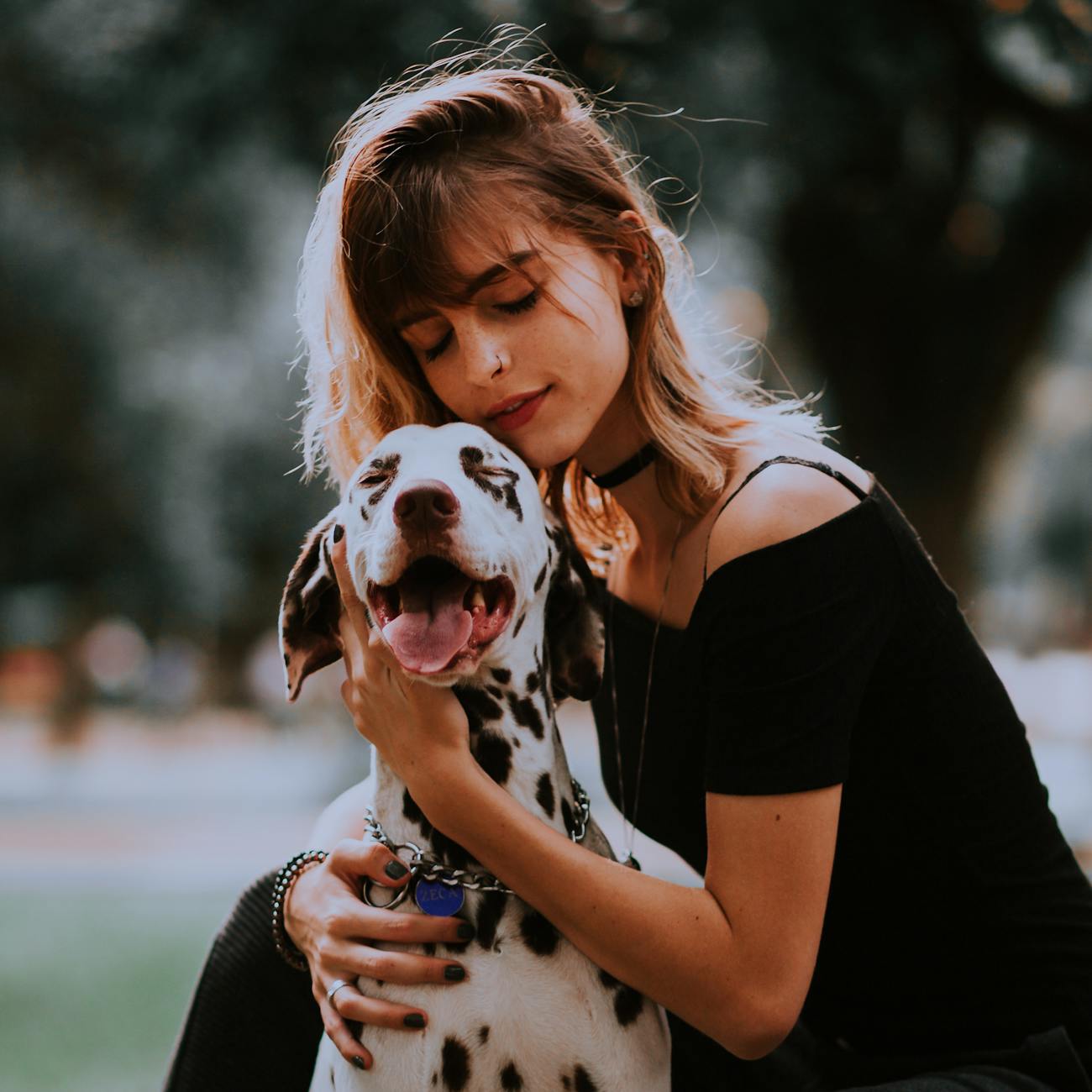 Natural Language Processing in Veterinary Care
