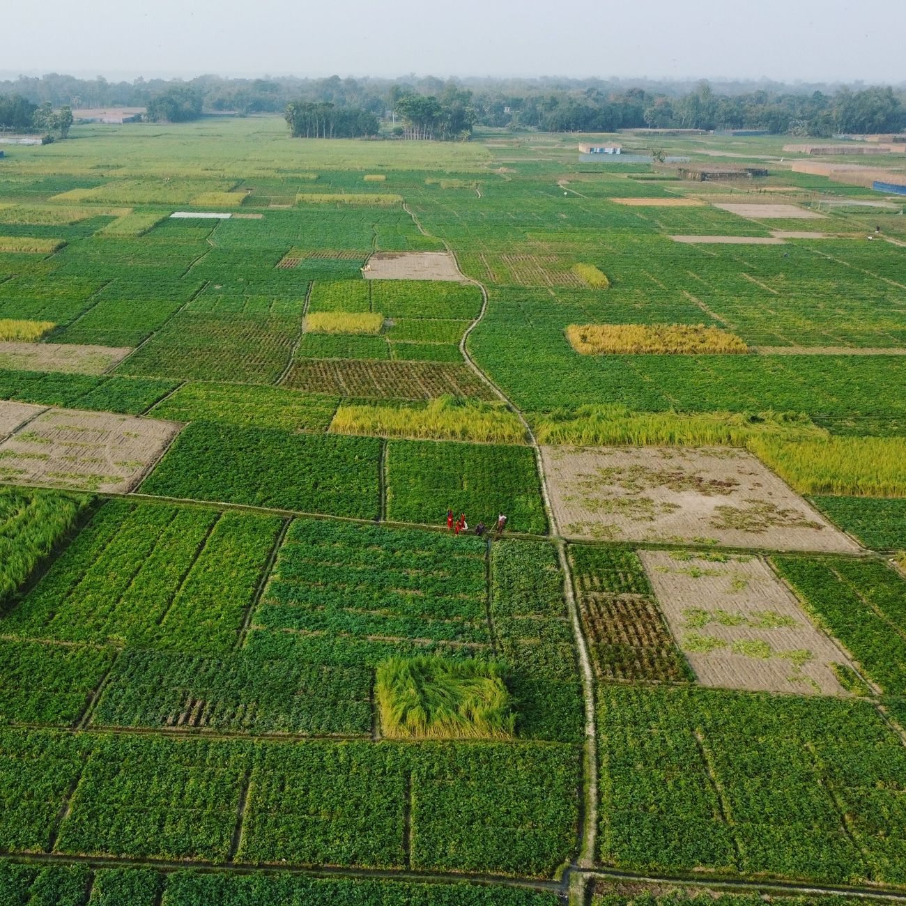 Remote Sensing Applications in Agriculture