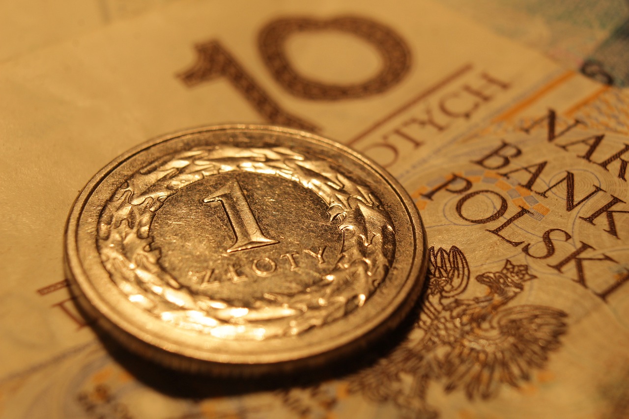 Performance Management in Public Sector Finance