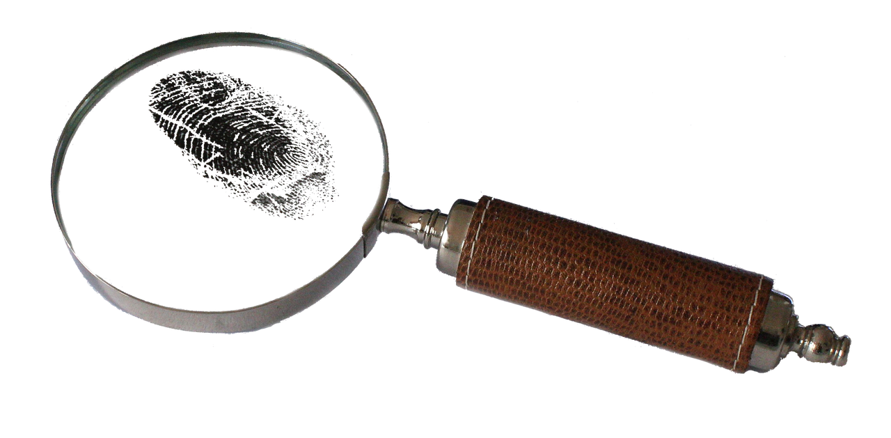 Evidence Collection and Preservation